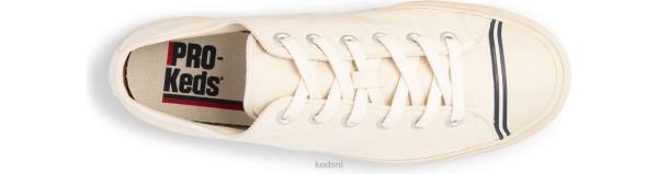 schoenen Keds superdoek room uniseks 86BZ263