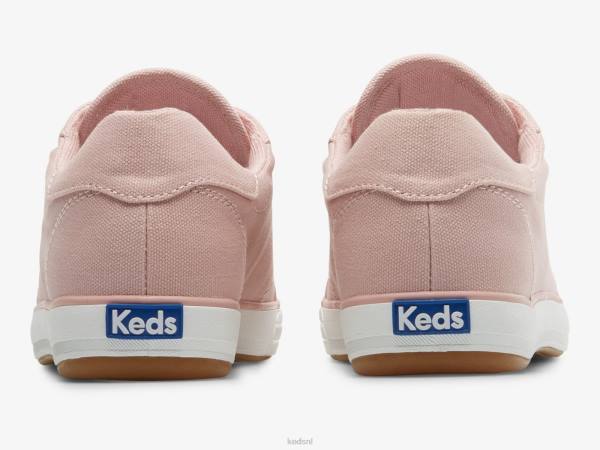 schoenen Keds center iii canvas sneaker mauve vrouwen 86BZ79