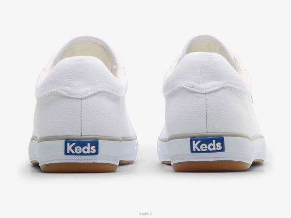 schoenen Keds center iii canvas sneaker wit vrouwen 86BZ81