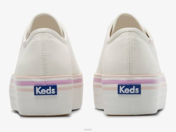 schoenen Keds triple up canvas foxing gestreepte sneaker witte lila vrouwen 86BZ184
