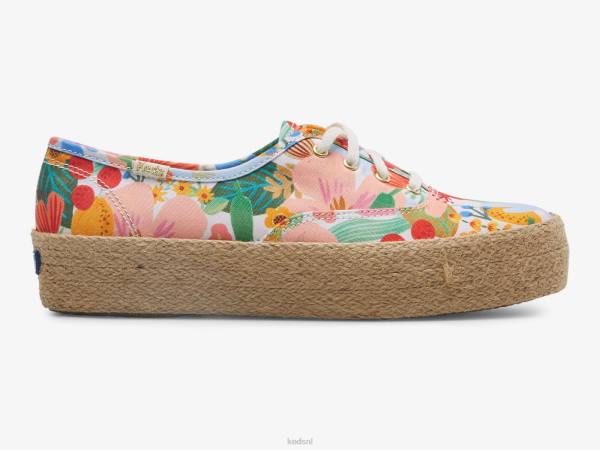 schoenen Keds x Rifle Paper Co. het platform jute sicilië wit multi vrouwen 86BZ182